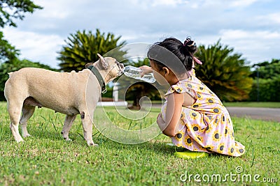 Little girl giving fresh water to her French Bulldog Stock Photo