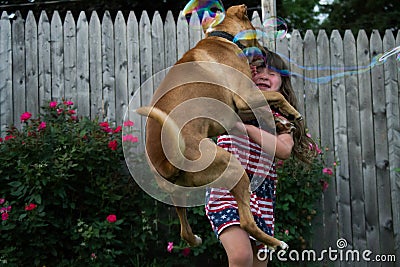 Dog and Girl Collide Stock Photo