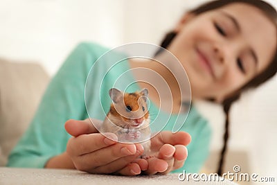 Little girl holding cute hamster at home, focus on hands Stock Photo