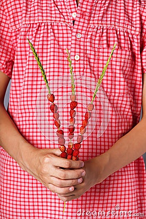 Little girl holding organic wild strawberries on straw. Stock Photo