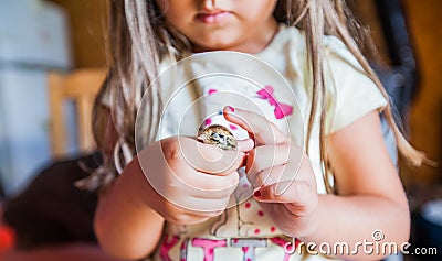 Human Hands Care Baby Quail Stock Photo