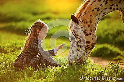 Little girl and horse Stock Photo