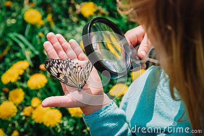 Little girl looking at butterfy, kids learning nature Stock Photo