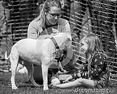 A little girl looking at her dog with her mother behind in the park at a dog show Editorial Stock Photo