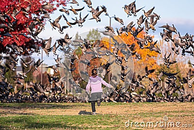 Little girl in a pick jacket and black jeans chasing geese sitting on a lawn in a park Stock Photo