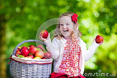 Little girl picking apples in fruit orchard Stock Photo