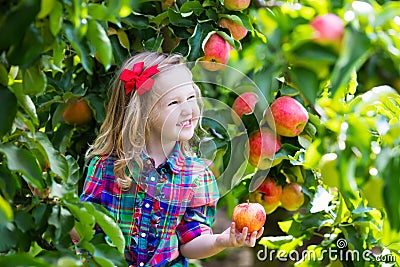 Little girl picking apples from tree in a fruit orchard Stock Photo