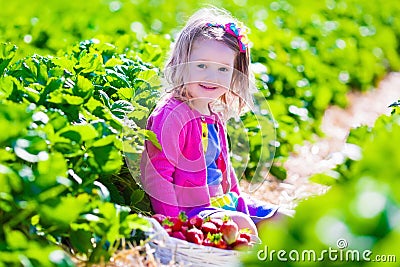 Little girl picking strawberry on a farm Stock Photo