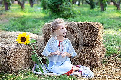 Little girl with pigtail on her head sits on roll of haystacks in garden and holds sunflower. Child sits on straw and enjoys natur Stock Photo