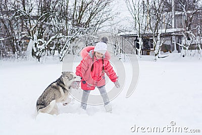 Little girl in a pink jacket playing with a Siberian husky breed dog in the winter in the snow Stock Photo