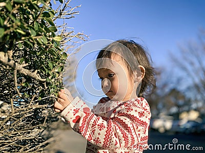 Little Girl Playing With Greenery Stock Photo