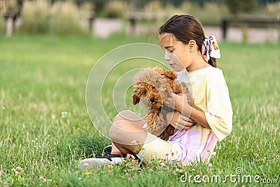 a little girl playing with her maltipoo dog a maltese-poodle breed Stock Photo