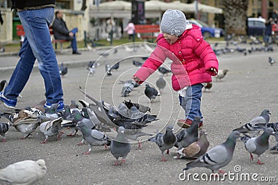 Little girl playing with pigeons Editorial Stock Photo