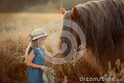 Little girl with red tinker horse in oats evening field Stock Photo