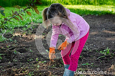 Little girl removing weeds Stock Photo