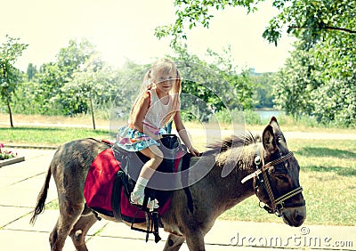 Girl on donkey Stock Photo