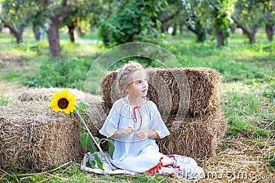 Little girl sits on roll of haystacks in garden. child sits in straw and enjoying nature on a fall day in countryside. Sunflower. Stock Photo