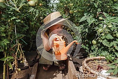 A little girl in a straw hat is picking tomatoes in a greenhouse. Harvest concept. Stock Photo