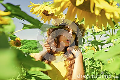 Little girl sunflowers field blue sky background, agriculture concept Stock Photo