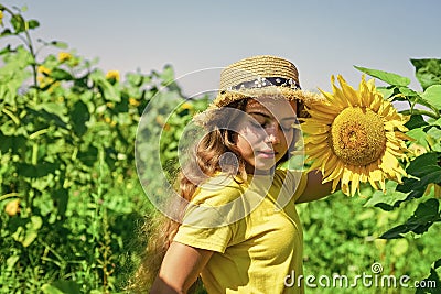 Little girl sunflowers field blue sky background, childhood at village Stock Photo