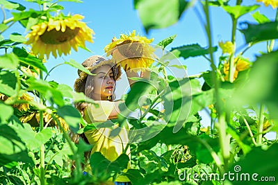 Little girl sunflowers field blue sky background, harvest day Stock Photo