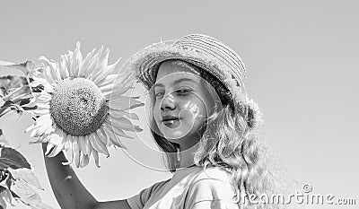 Little girl sunflowers field blue sky background, rustic style Stock Photo