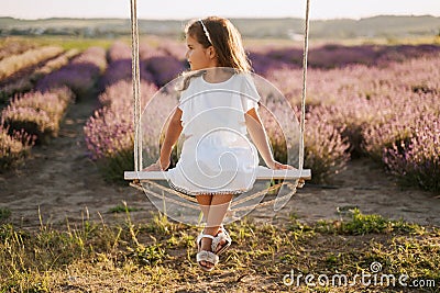 Little Girl on Swing Lavender Field Background Stock Photo