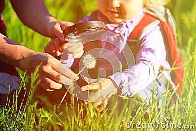 Little girl with teacher examining field flowers using magnifying glass Stock Photo