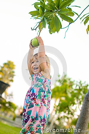 Little girl trying to get a pomello from the tree Stock Photo