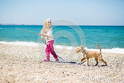 Little girl walking on the beach with a puppy terrier Stock Photo