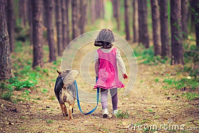 Little girl walking with dog Stock Photo