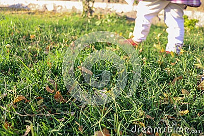 Little girl walking on the green grass in a park wearing white leggings Stock Photo