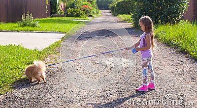 Little girl walking with her ??dog on a leash Stock Photo