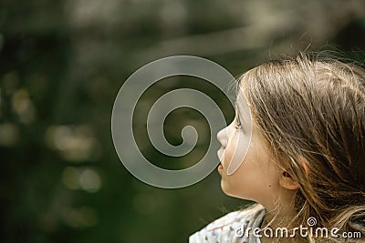 Little girl watching trees, skies and birds in awe Stock Photo