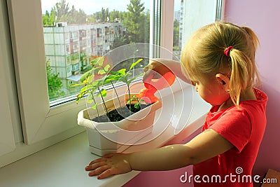 Little girl watering young plants Stock Photo