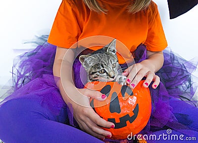 Little girl a witch suit pumpkin of which a kitten Stock Photo