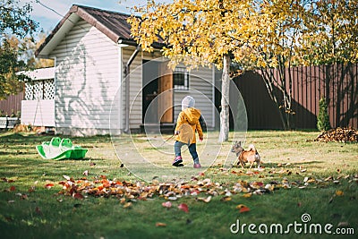little girl in a yellow jacket and a chihuahua dog in the fall Stock Photo