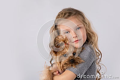 Little girl with Yorkshire Terrier dog isolated on white background. Kids pet friendship Stock Photo