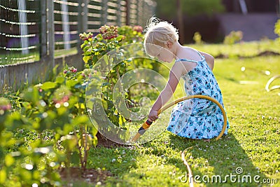 Little giving water to flowers in the garden Stock Photo