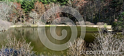 Little Glade Mill Pond, Blue Ridge Parkway, North Carolina, USA Stock Photo