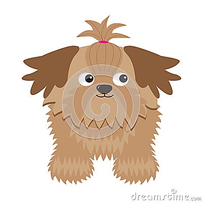 Little glamour tan Shih Tzu dog. Isolated. Vector Illustration