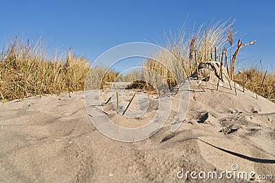 Little handmade hill of sand in the dunes of the North Sea coast Stock Photo