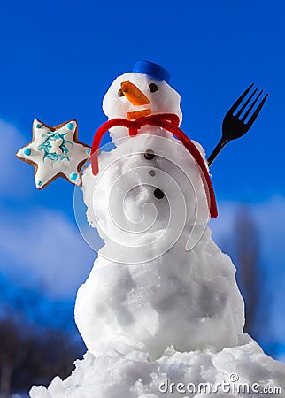 Little happy christmas snowman with cookie star outdoor. Winter season. Stock Photo