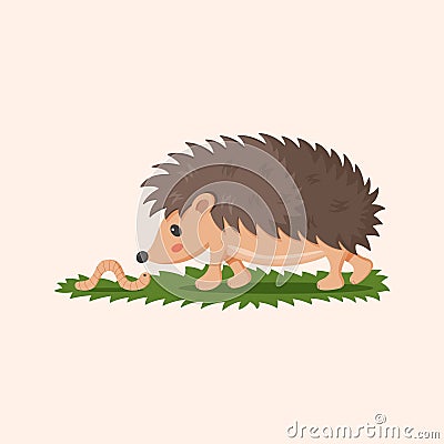 Little hedgehog and worm. Forest animal and insect. Wildlife or zoo adorable creatures. Baby animal nursery decor or Vector Illustration