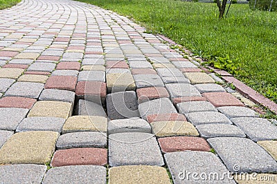 A little hole in the paving slabs and green grass near the sidewalk Stock Photo