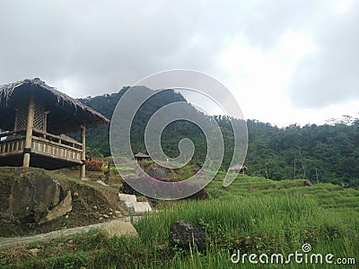 Little home of hills of under mountain ricefield view of daylight , fresh air here Stock Photo