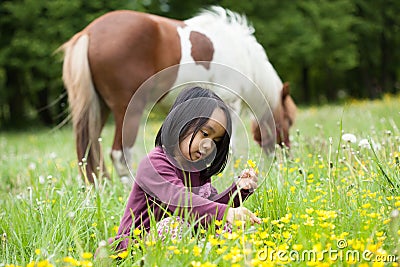 Little horse and asian girl Stock Photo