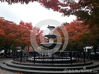 Little Italy fountain, autumn leeves, red trees New York City. Stock Photo
