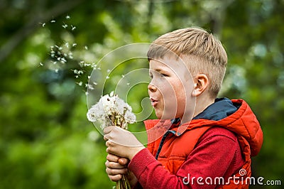 Little kid boy blowing on dandelion. Future generation. Windmills. Renewable energies and sustainable resources - wind Stock Photo