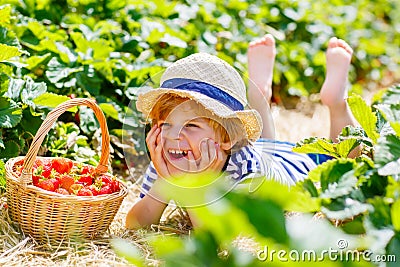 Little kid boy picking strawberries on farm, outdoors. Stock Photo